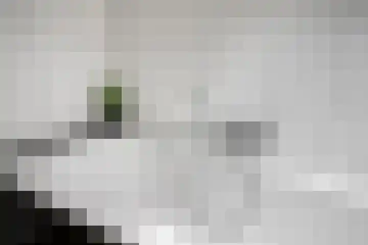Dorpsstraat 19 Ledeacker thumbnail 36