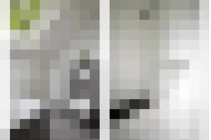 Dorpsstraat 19 Ledeacker thumbnail 37