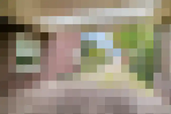 Dorpsstraat 19 Ledeacker thumbnail 52
