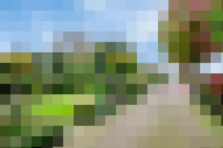 Dorpsstraat 19 Ledeacker thumbnail 53