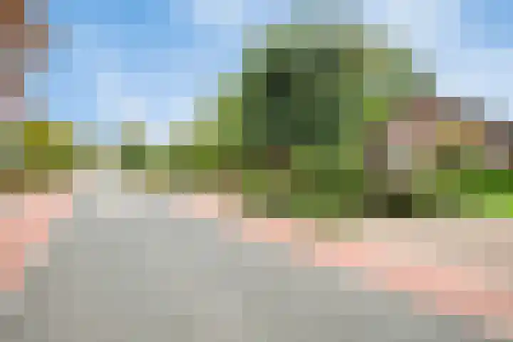 Dorpsstraat 19 Ledeacker thumbnail 54