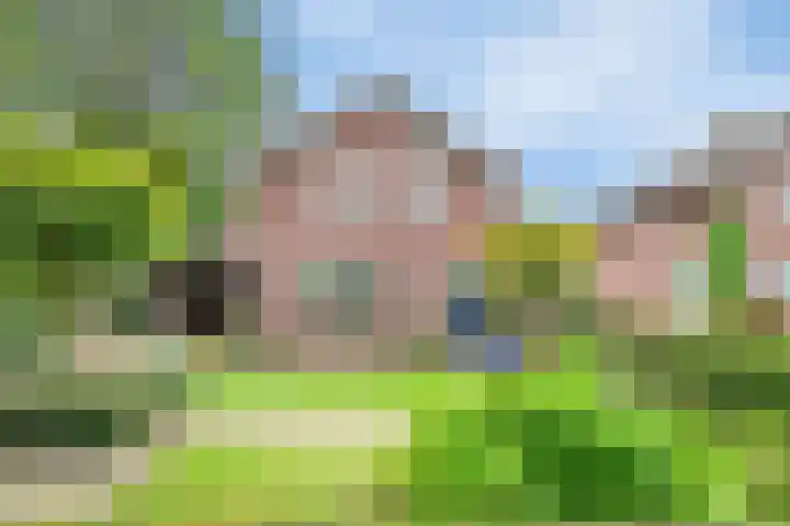 Dorpsstraat 19 Ledeacker thumbnail 6