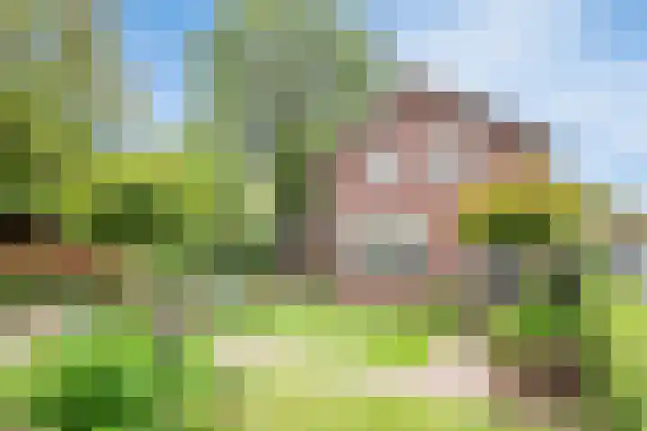 Dorpsstraat 19 Ledeacker thumbnail 7