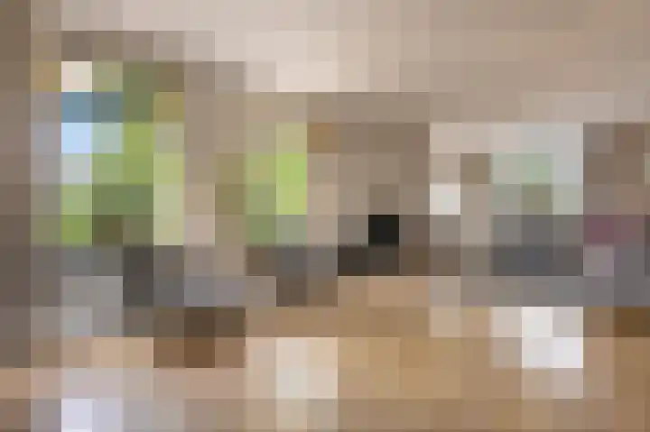 Dorpsstraat 19 Maasdam thumbnail 10