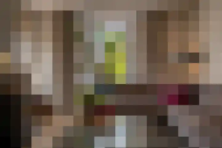 Dorpsstraat 19 Maasdam thumbnail 13