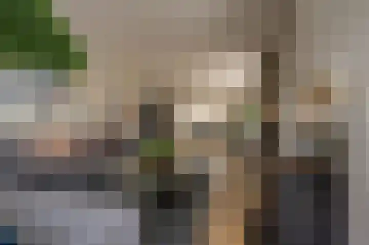 Dorpsstraat 19 Maasdam thumbnail 15