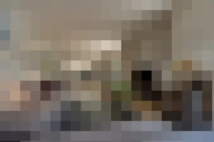 Dorpsstraat 19 Maasdam thumbnail 16