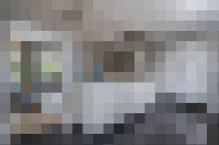 Dorpsstraat 19 Maasdam thumbnail 21