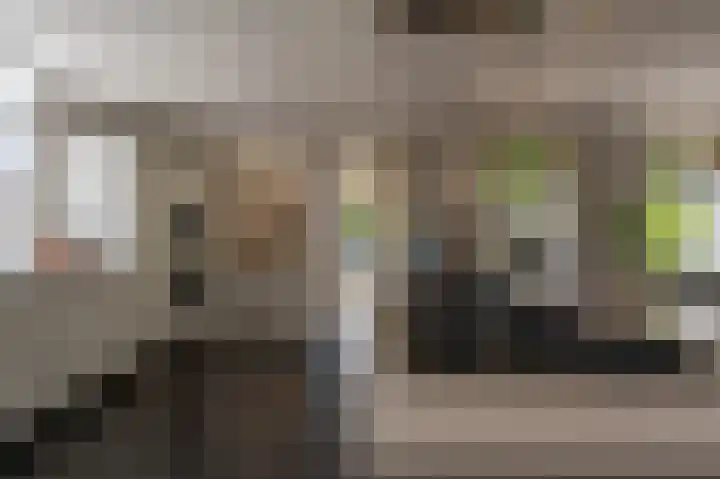 Dorpsstraat 19 Maasdam thumbnail 24