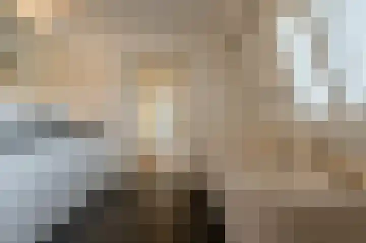 Dorpsstraat 19 Maasdam thumbnail 28