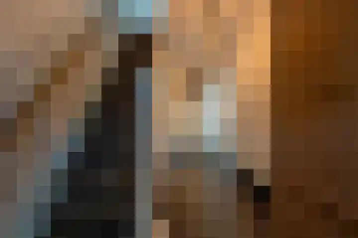Dorpsstraat 19 Maasdam thumbnail 4