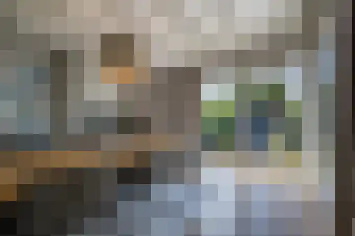 Dorpsstraat 19 Maasdam thumbnail 5