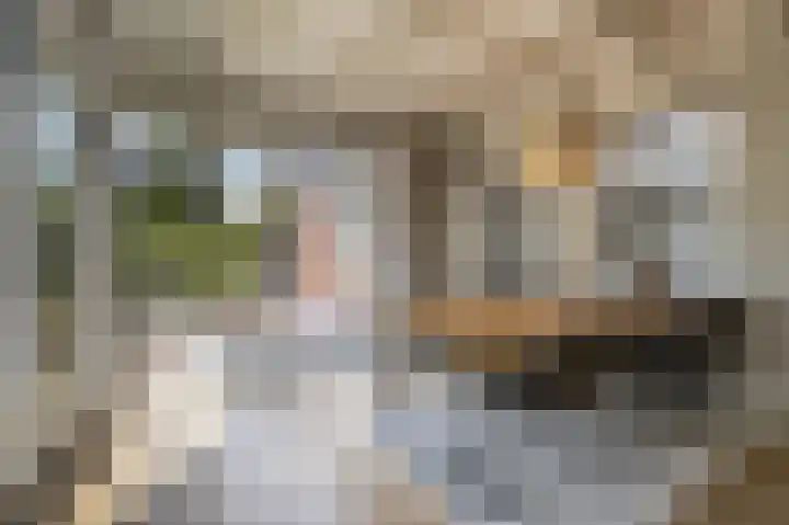 Dorpsstraat 19 Maasdam thumbnail 7