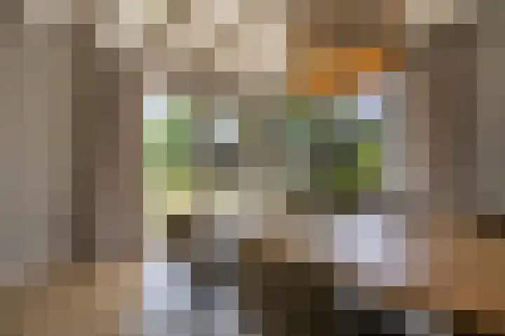 Dorpsstraat 19 Maasdam thumbnail 8
