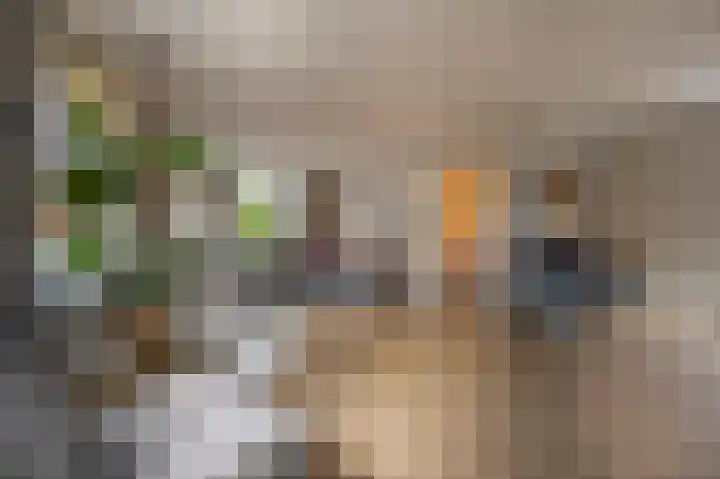 Dorpsstraat 19 Maasdam thumbnail 9