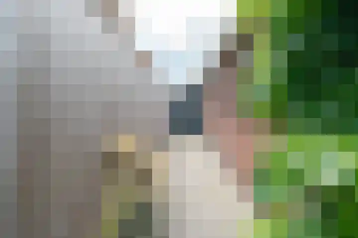 Dorpsstraat 19 Nieuwe Niedorp thumbnail 35