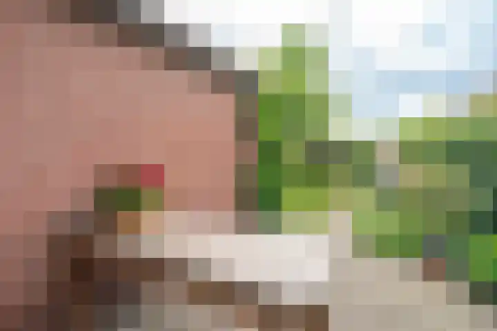 Dorpsstraat 19 Nieuwe Niedorp thumbnail 36
