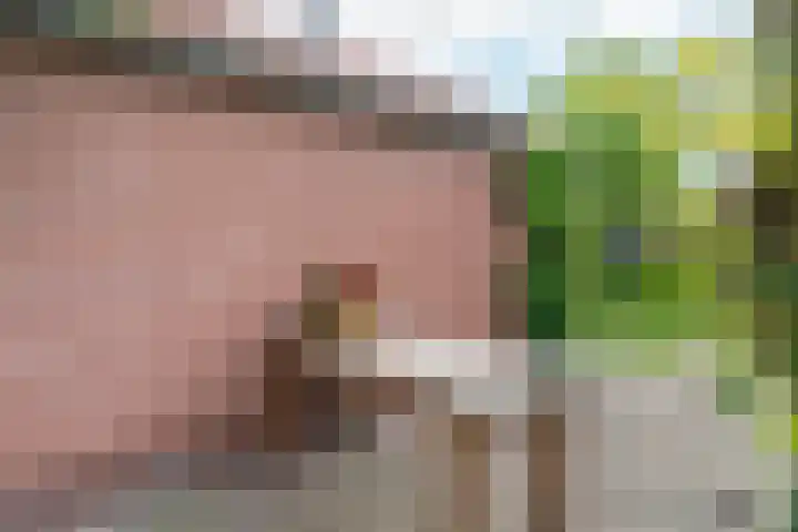 Dorpsstraat 19 Nieuwe Niedorp thumbnail 37