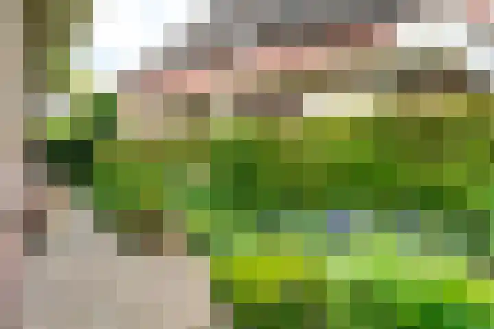 Dorpsstraat 19 Nieuwe Niedorp thumbnail 39