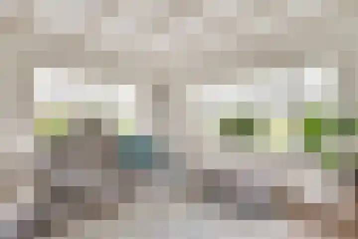 Dorpsstraat 19 Nieuwe Niedorp thumbnail 4