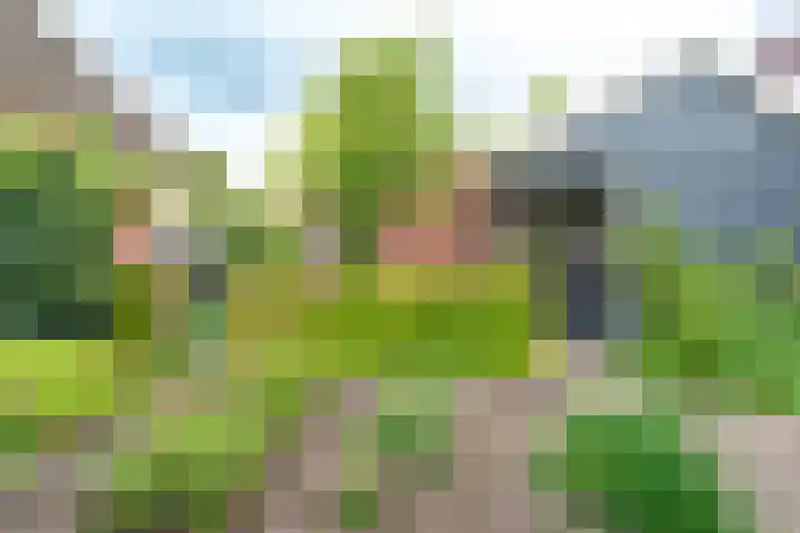 Dorpsstraat 19 Nieuwe Niedorp thumbnail 43