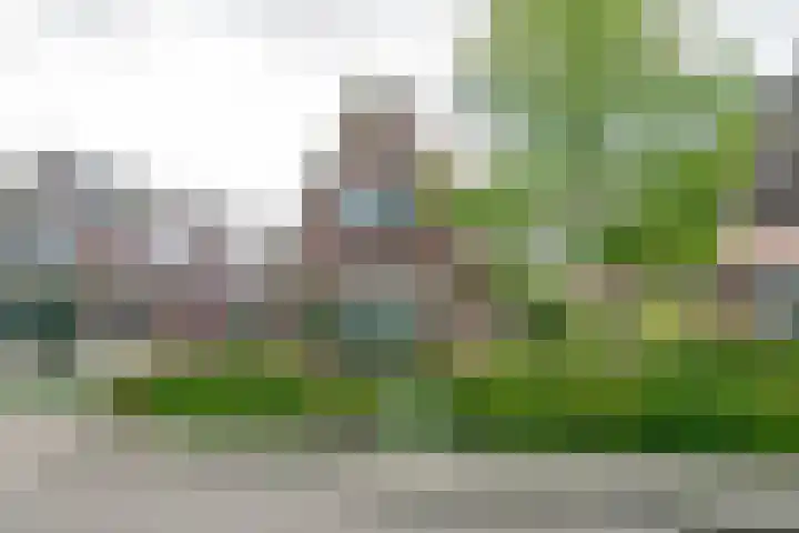 Dorpsstraat 19 Nieuwe Niedorp thumbnail 49