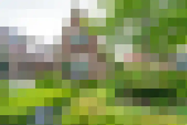 Dorpsstraat 19 Nieuwe Niedorp thumbnail 50