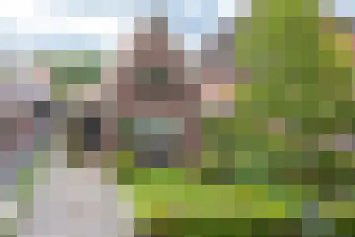 Dorpsstraat 19 Nieuwe Niedorp thumbnail 56