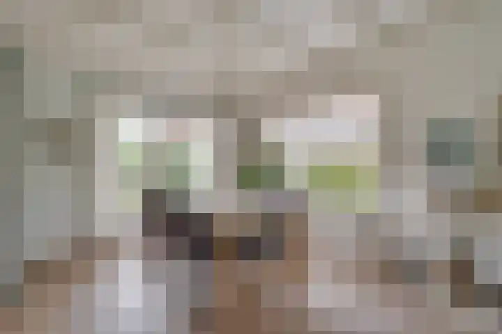 Dorpsstraat 19 Nieuwe Niedorp thumbnail 8