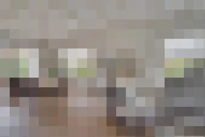 Dorpsstraat 19 Nieuwe Niedorp thumbnail 9