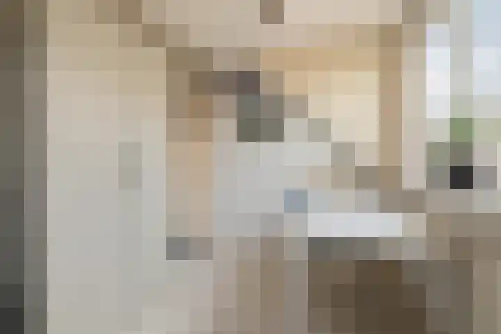 Dorpsstraat 19 Rheden thumbnail 32