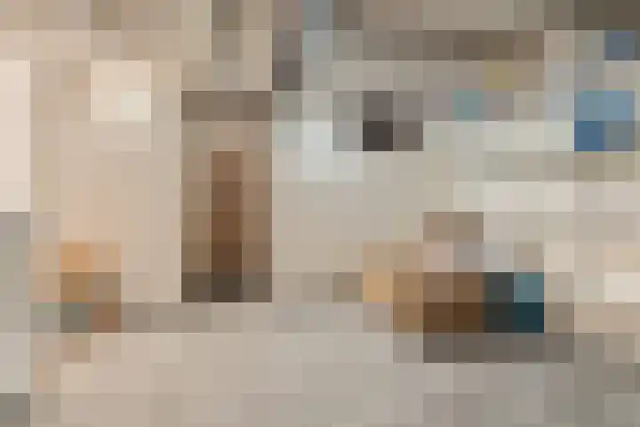 Dorpsstraat 19 Rheden thumbnail 37