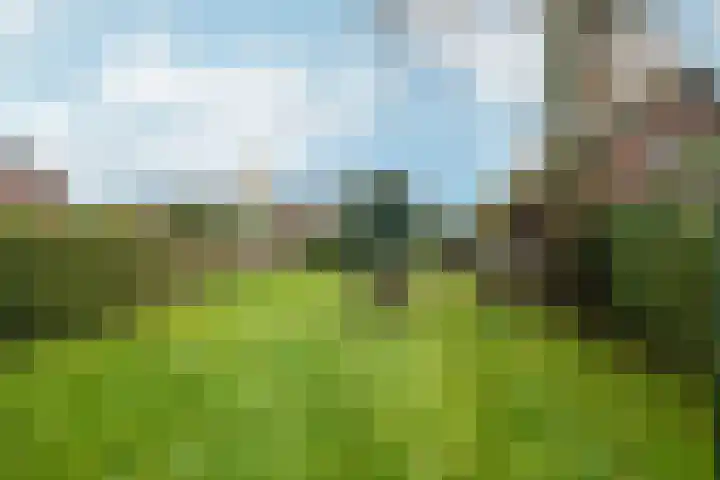 Dorpsstraat 19 Rheden thumbnail 39