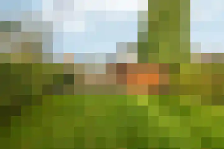 Dorpsstraat 19 Rheden thumbnail 41