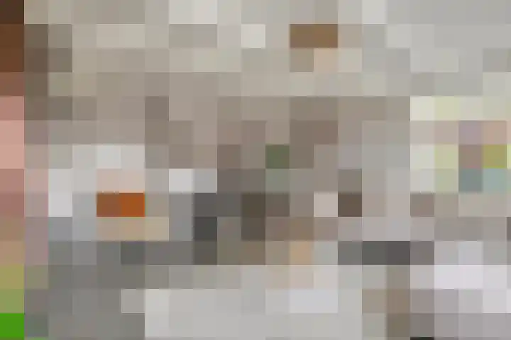 Dorpsstraat 19 Rhenoy thumbnail 10