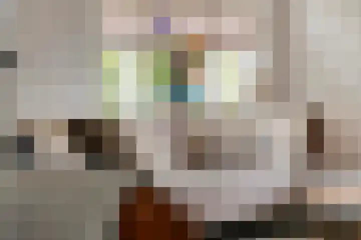 Dorpsstraat 19 Rhenoy thumbnail 11