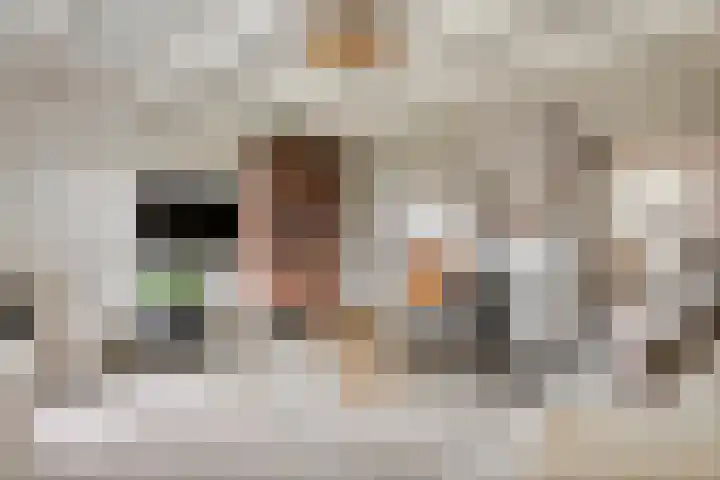 Dorpsstraat 19 Rhenoy thumbnail 12