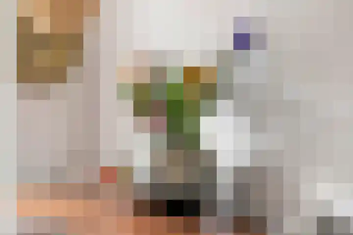 Dorpsstraat 19 Rhenoy thumbnail 14