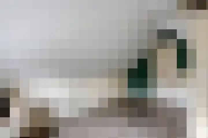 Dorpsstraat 19 Rhenoy thumbnail 25