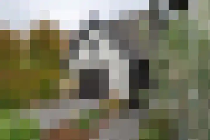 Dorpsstraat 19 Rhenoy thumbnail 29