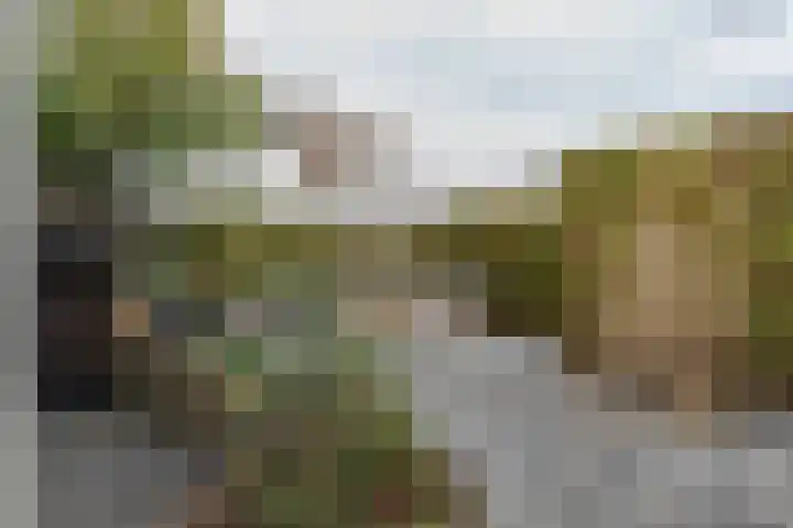 Dorpsstraat 19 Rhenoy thumbnail 32