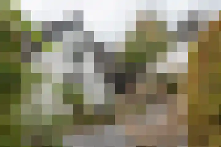 Dorpsstraat 19 Rhenoy thumbnail 33
