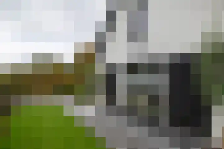 Dorpsstraat 19 Rhenoy thumbnail 34