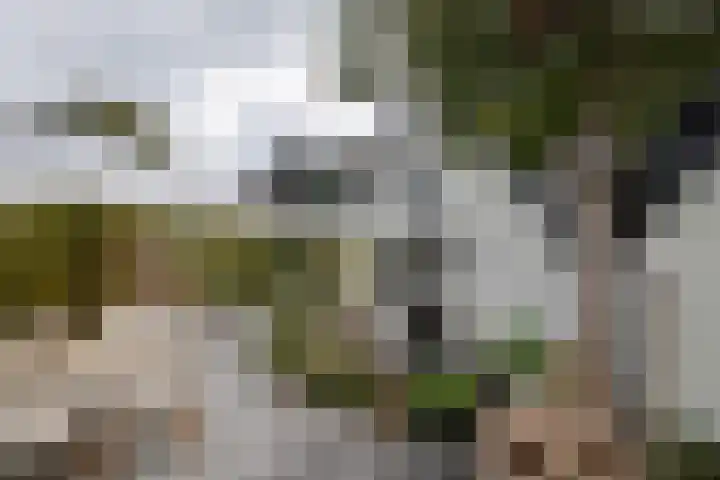 Dorpsstraat 19 Rhenoy thumbnail 4