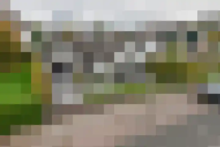 Dorpsstraat 19 Rhenoy thumbnail 5