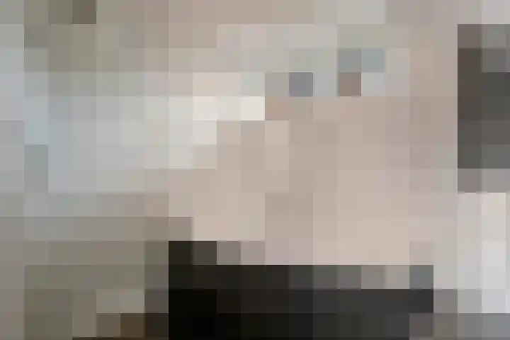 Dorpsstraat 19 Rhenoy thumbnail 7