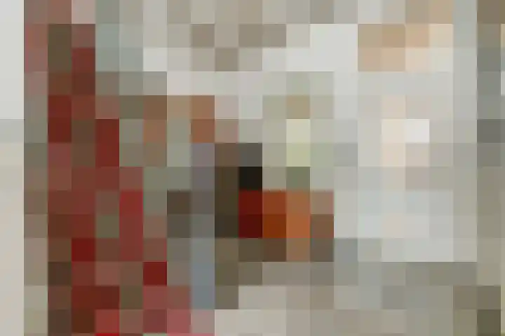 Dorpsstraat 19 Zwartewaal thumbnail 5