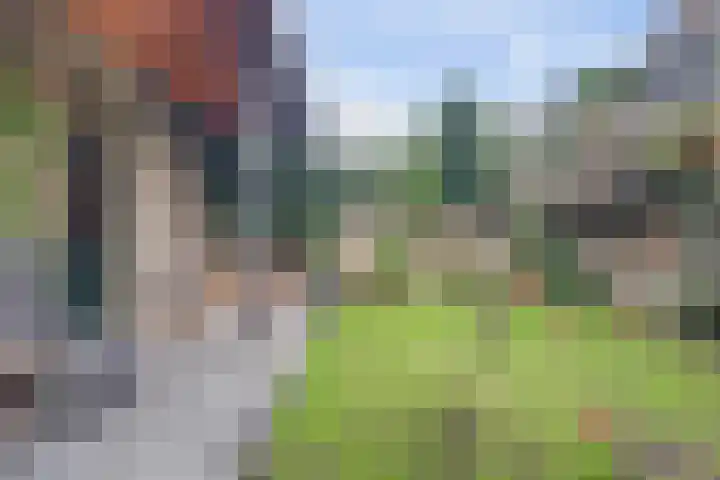 Dorpsstraat 19 Zwartewaal thumbnail 54