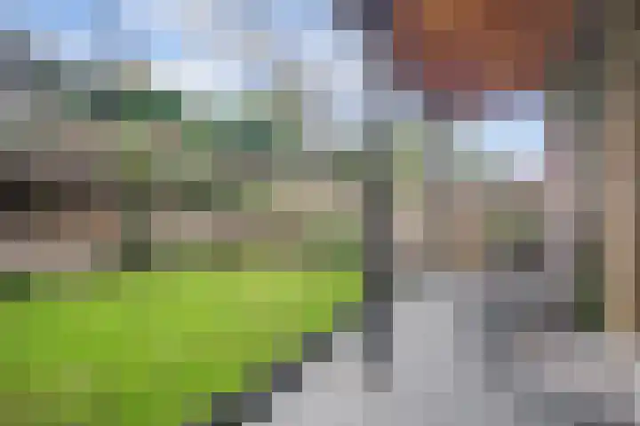 Dorpsstraat 19 Zwartewaal thumbnail 56