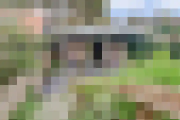 Dorpsstraat 19 Zwartewaal thumbnail 57